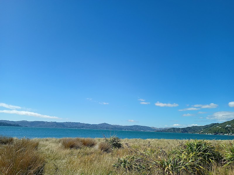Rona Bay Beach photo 3
