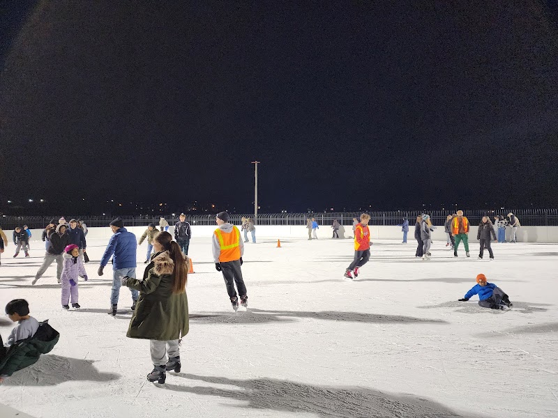Roosevelt Park Outdoor Family Skating Rink photo 2