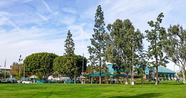 Rosewood Park photo 3