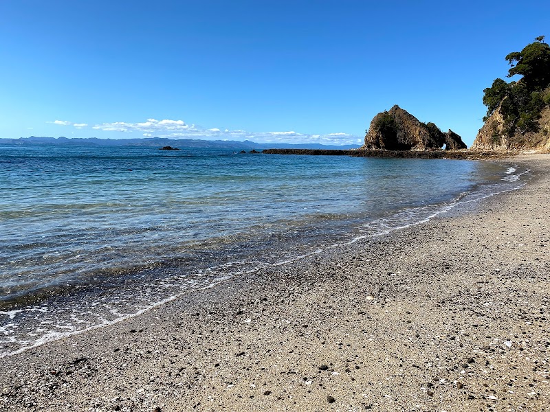 Rotoroa Island Wildlife Sanctuary photo 2