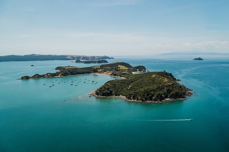 Rotoroa Island Wildlife Sanctuary photo 3