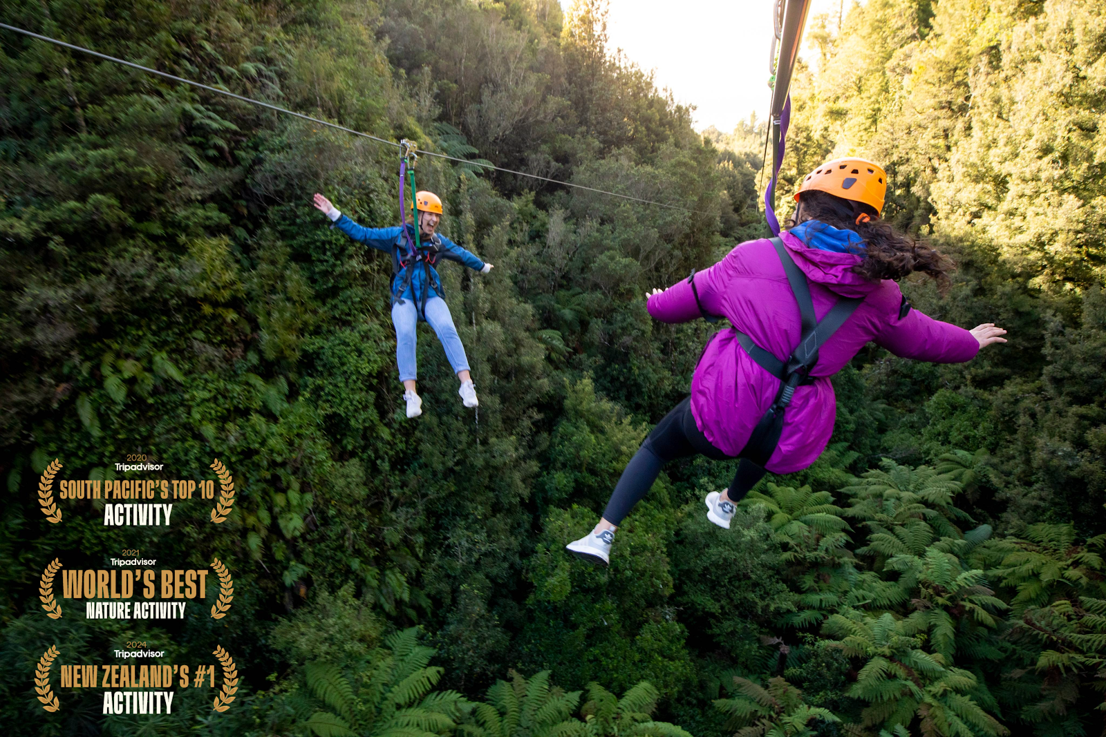 Rotorua Canopy Tours