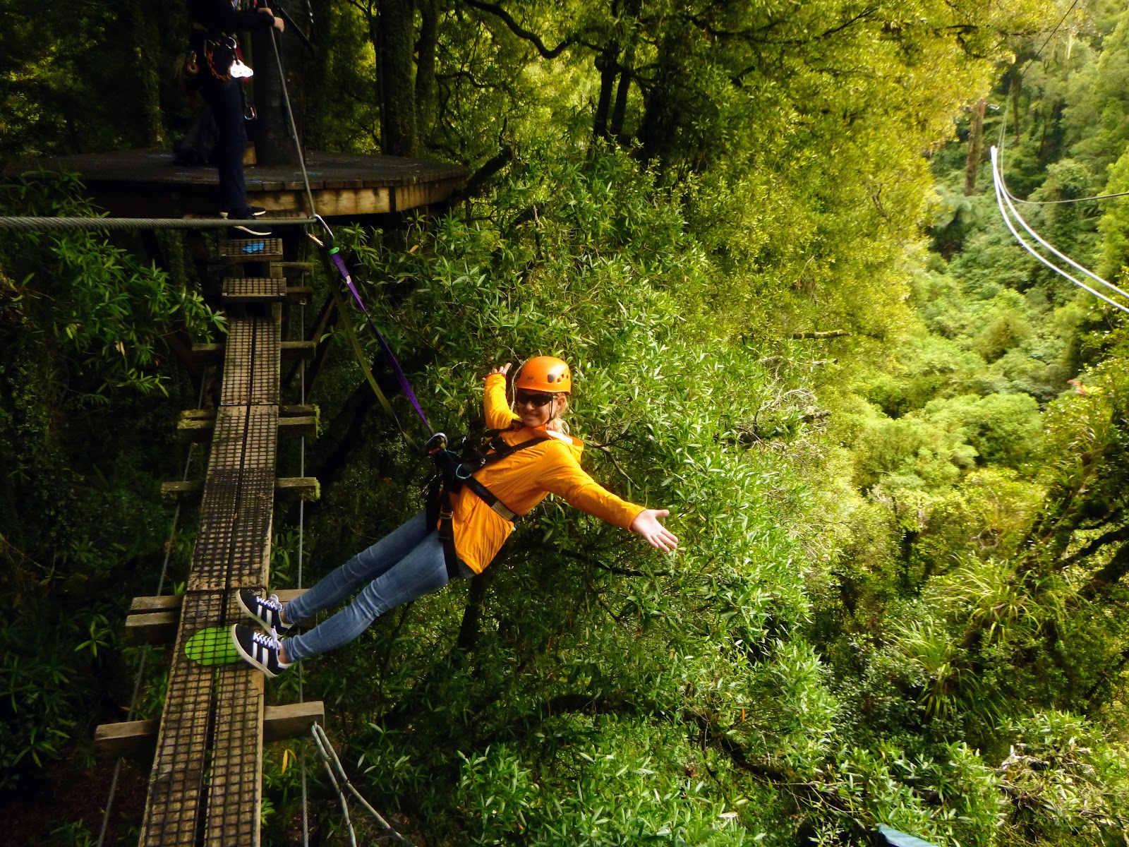 Rotorua Canopy Tours photo 2