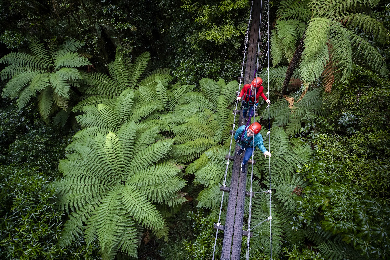 Rotorua Canopy Tours photo 3