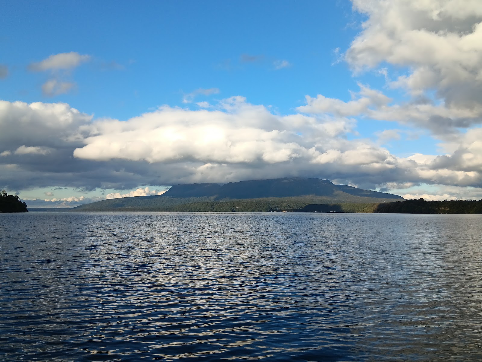 Rotorua Duck Tours photo 3