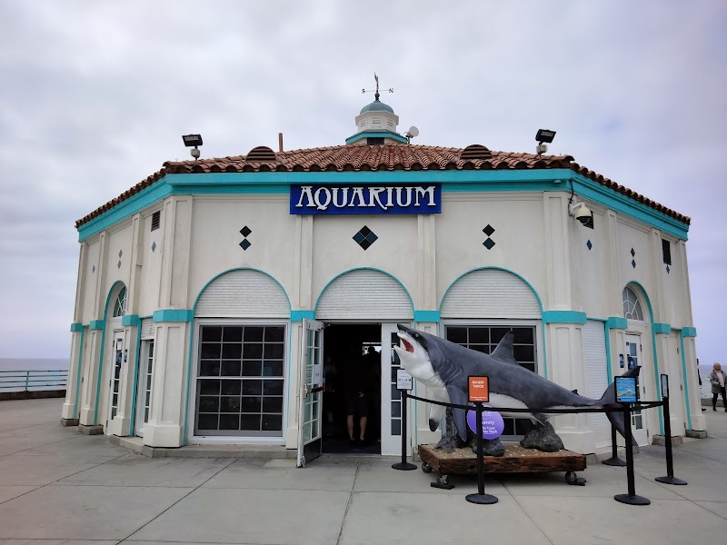 Roundhouse Aquarium photo 2