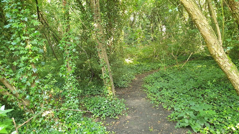 Roxbourne Playground photo 3