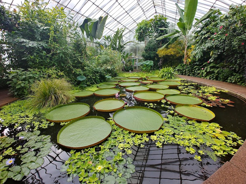 Royal Botanic Garden Edinburgh photo 2