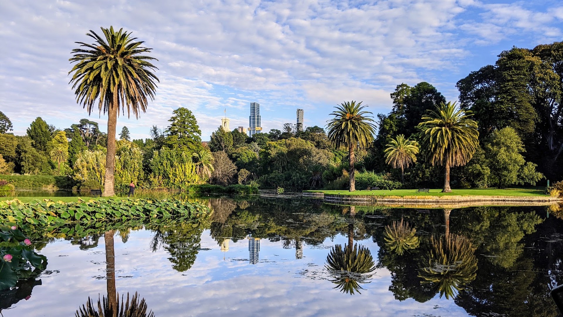 Royal Botanic Gardens Victoria - Melbourne Gardens