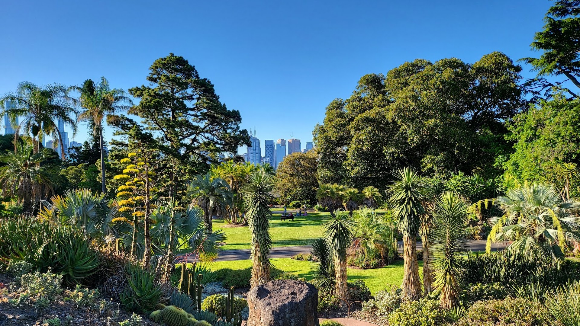 Royal Botanic Gardens Victoria - Melbourne Gardens photo 3