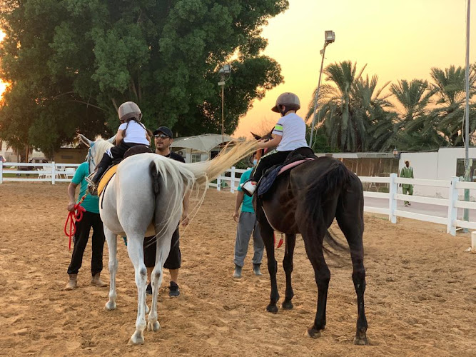 Royal Desert Stables