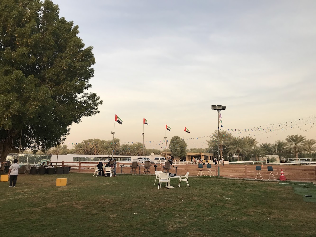 Royal Desert Stables photo 4