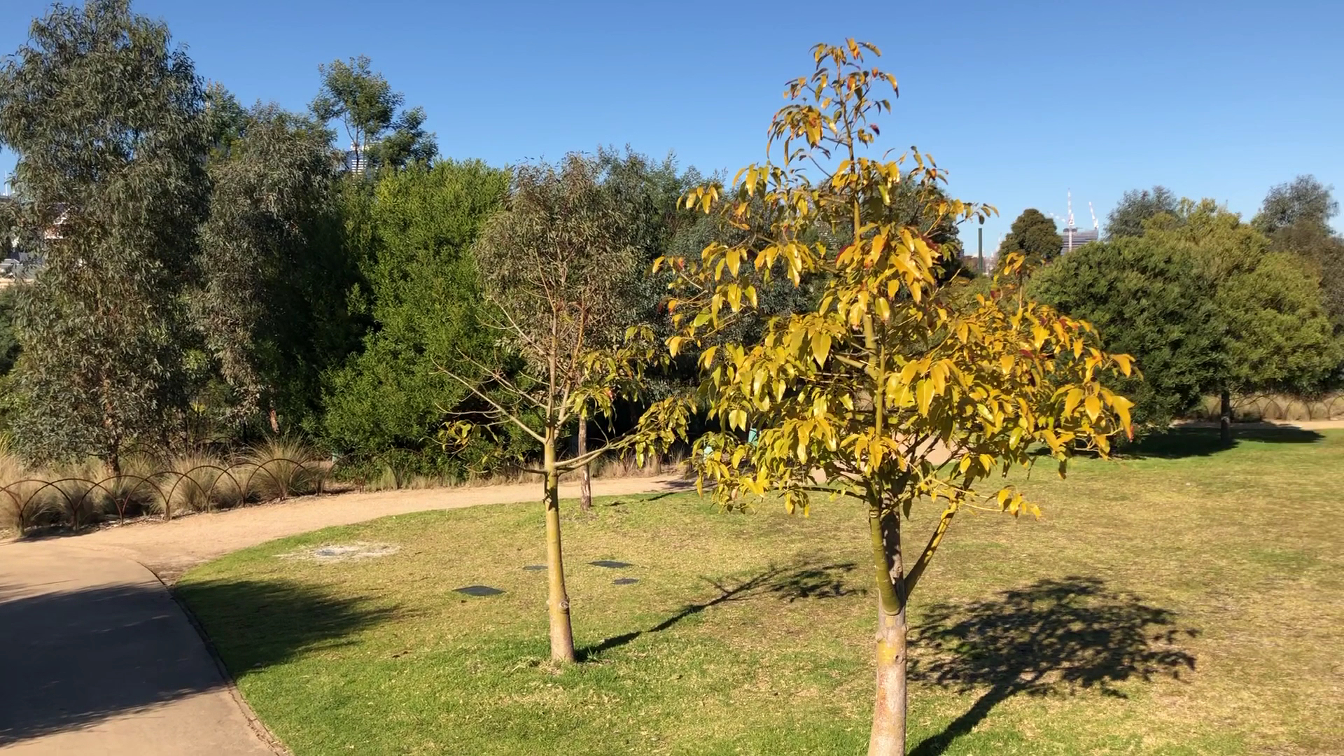 Royal Park Nature Play Playground photo 2