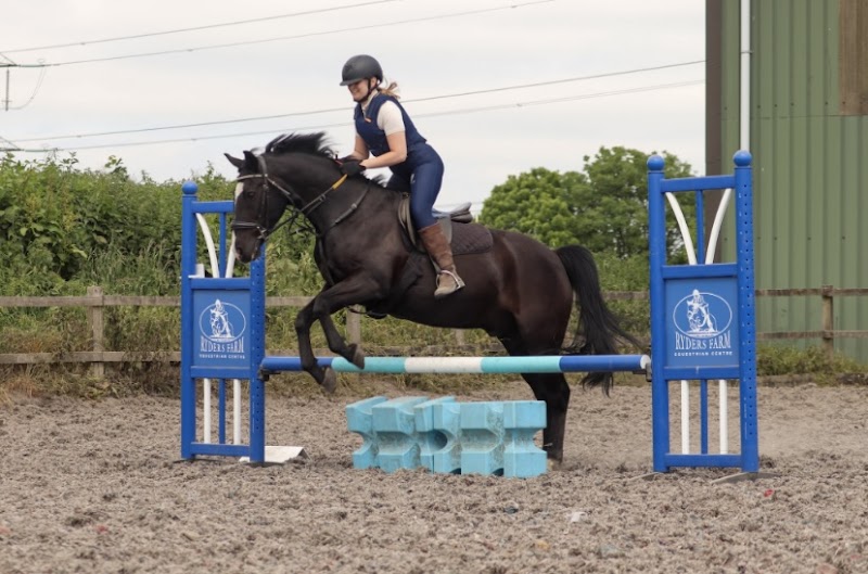Ryders Farm Equestrian Centre photo 2