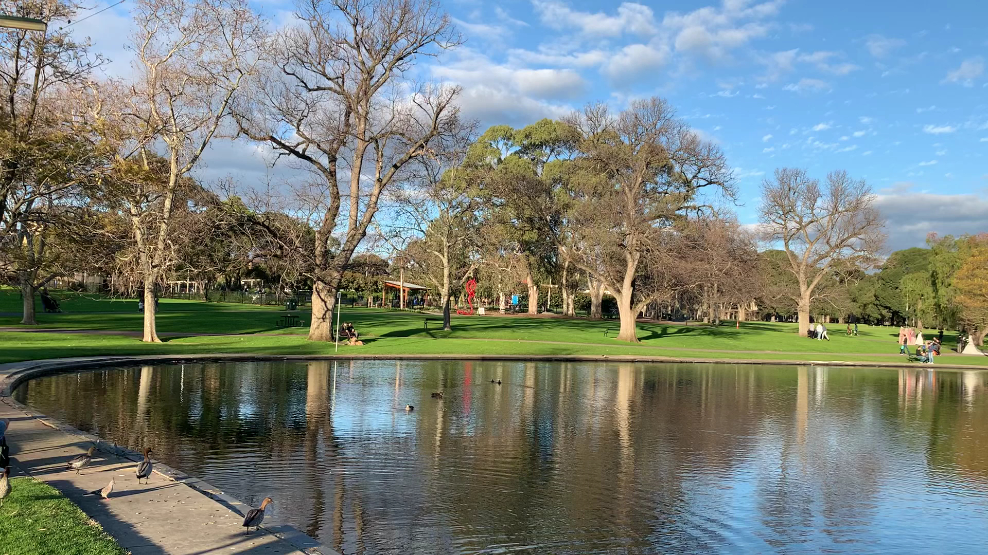 Rymill Park (Park 14) photo 2
