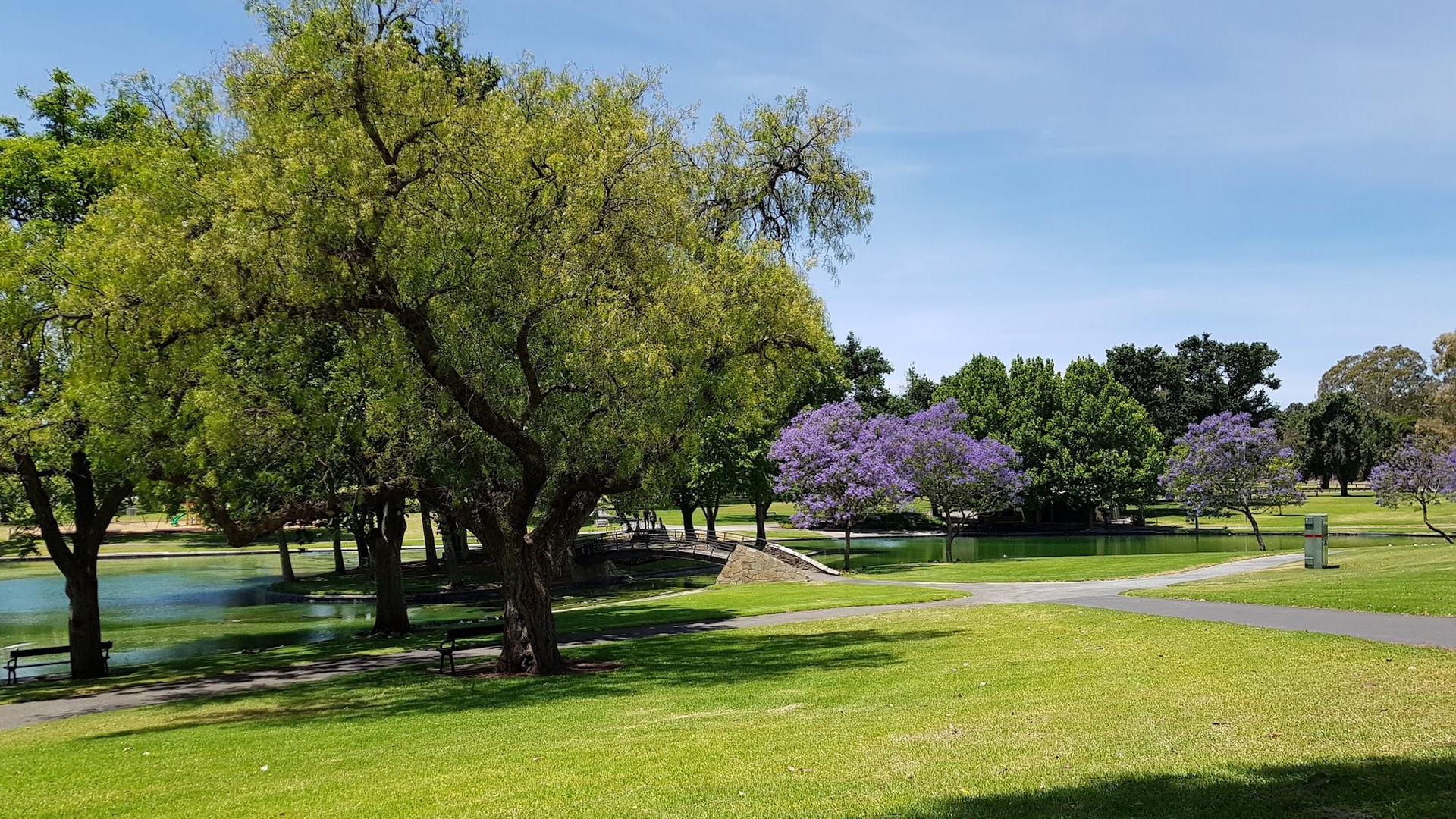 Rymill Park (Park 14) photo 3
