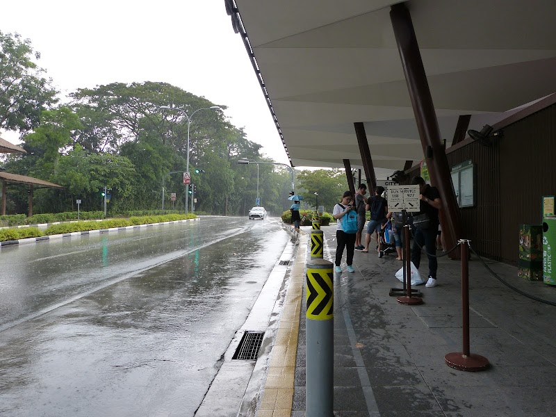 S'pore Zoo photo 3
