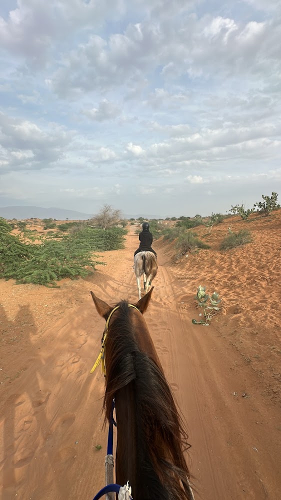 SADDLE EQUESTRIAN EDUCATION CLUE photo 2