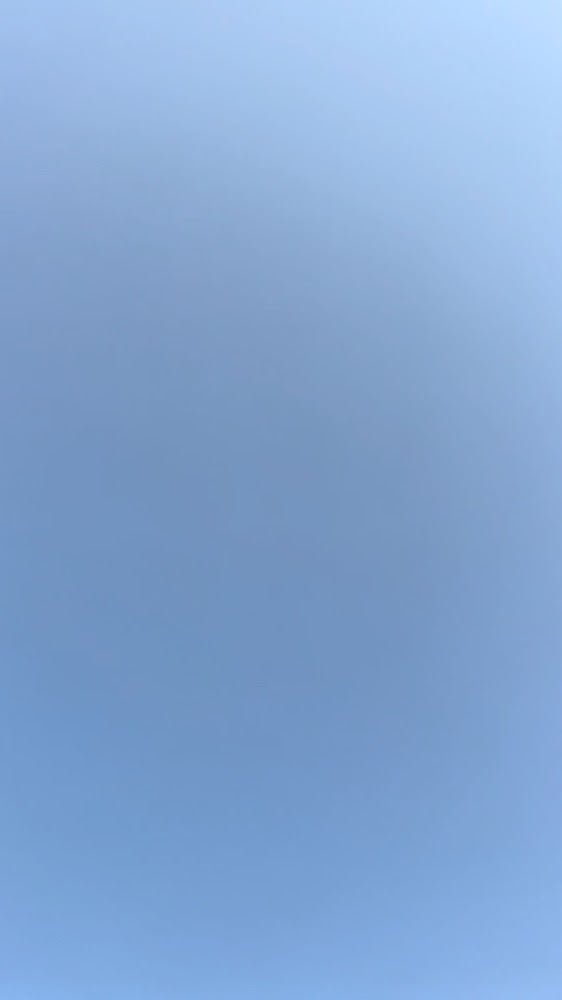 SADDLE EQUESTRIAN EDUCATION CLUE photo 3