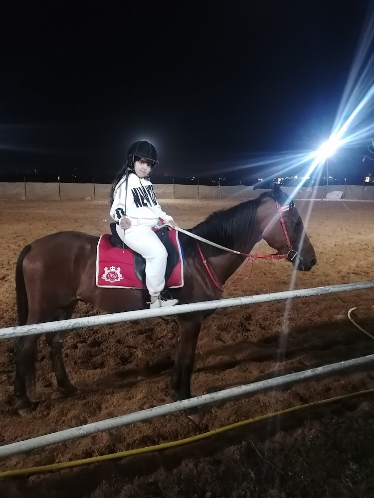 SADDLE EQUESTRIAN EDUCATION CLUE photo 4