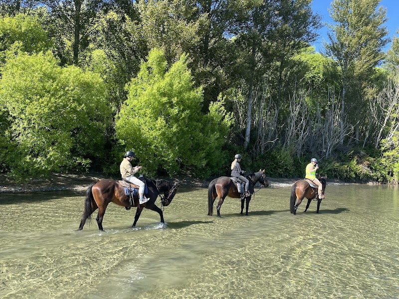 Saddles and Sanctuary photo 2