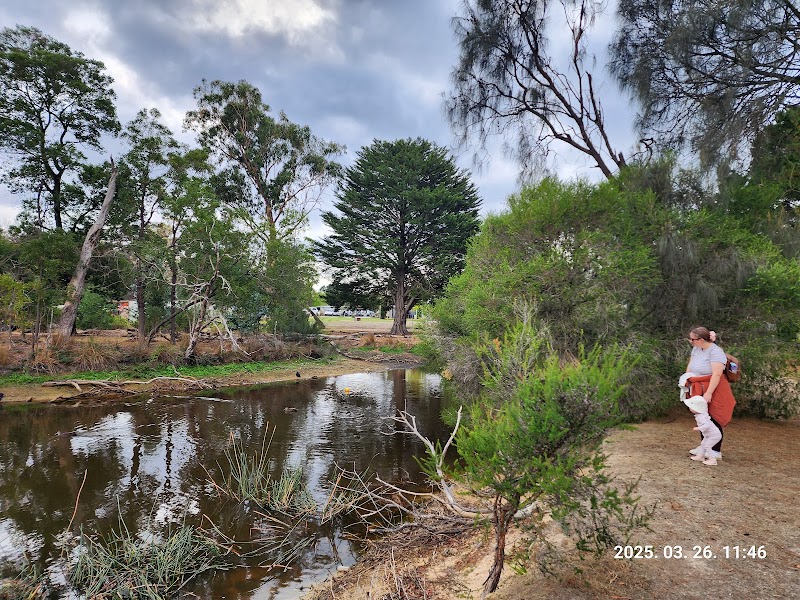 Sages Cottage Farm
