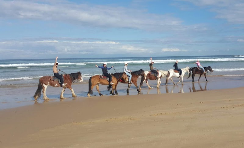Sahara Trails Horse Riding