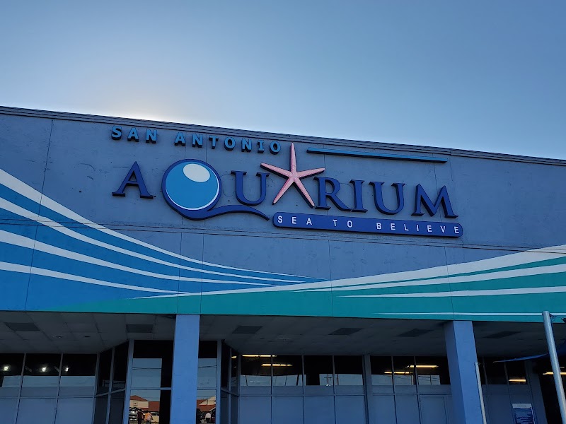 San Antonio Aquarium photo 2