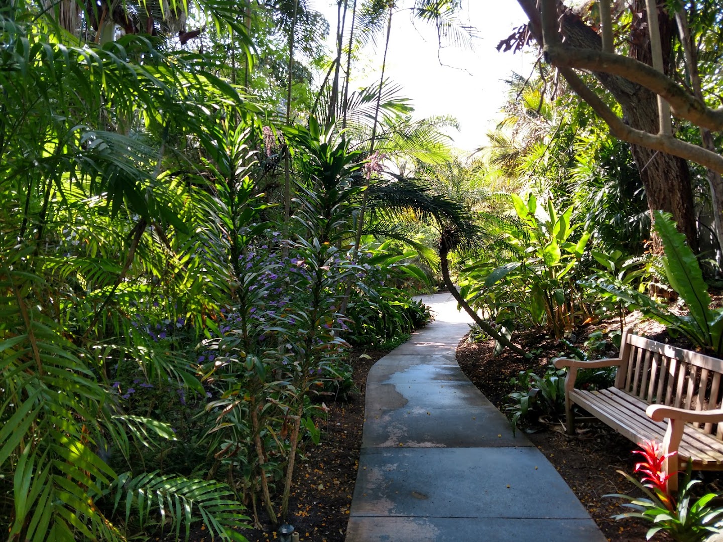 San Diego Botanic Garden photo 2