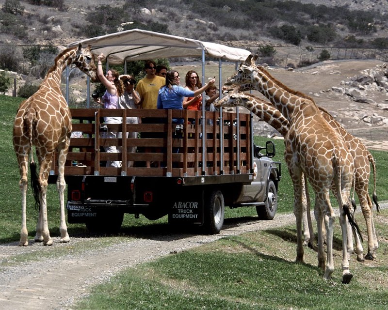 San Diego Zoo photo 2