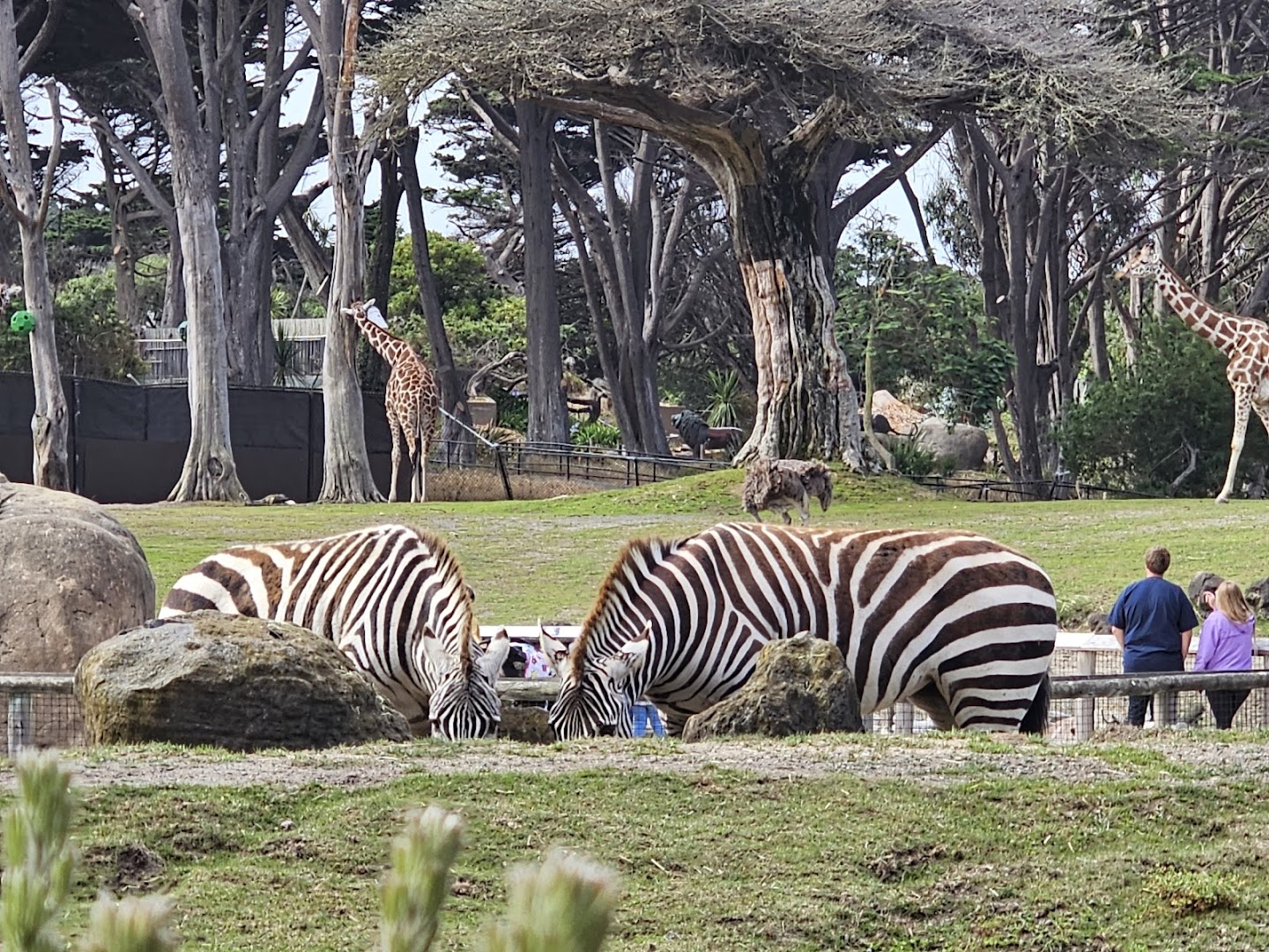 San Francisco Zoo photo 3