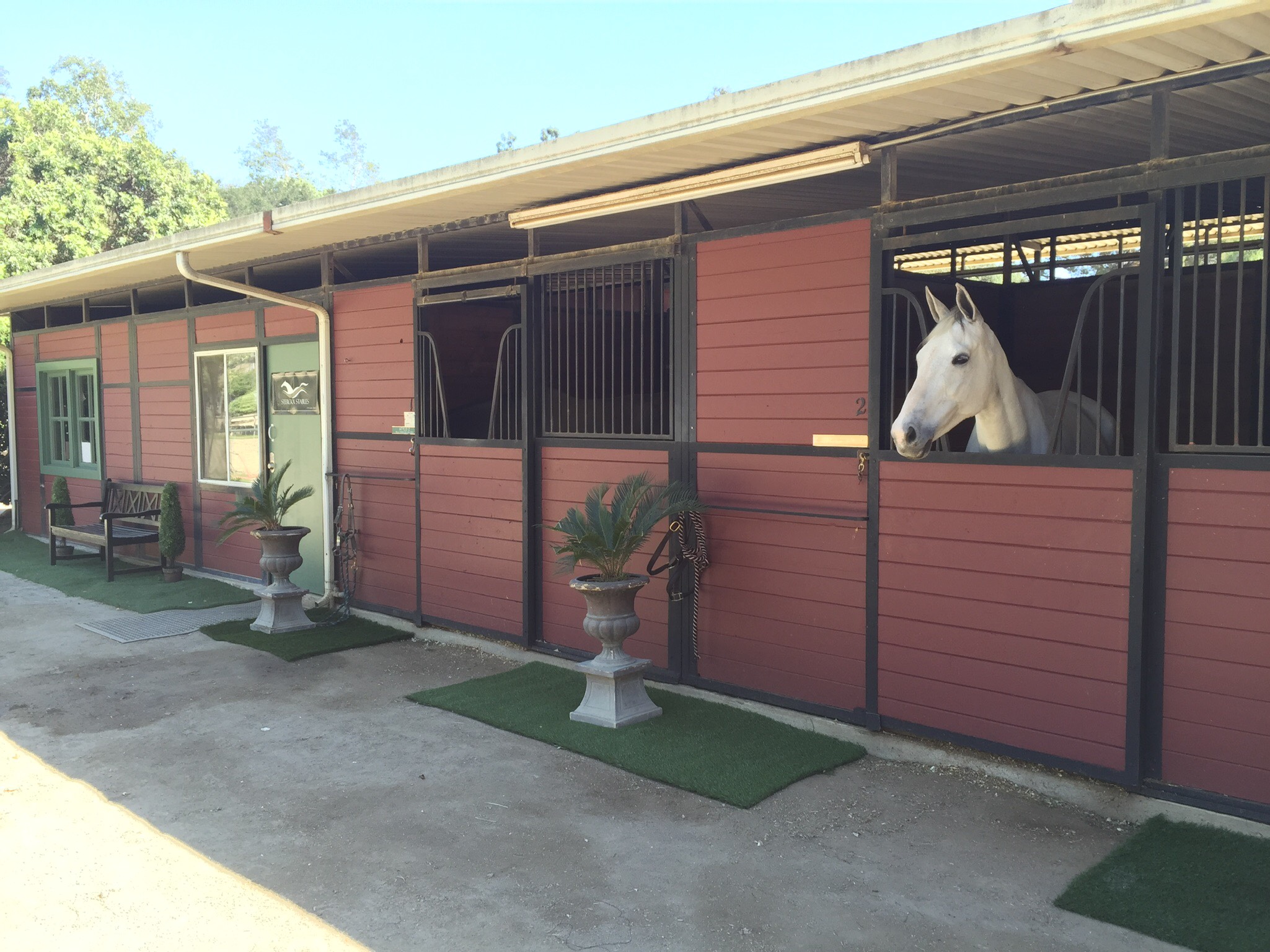 San Pascual Stables photo 3