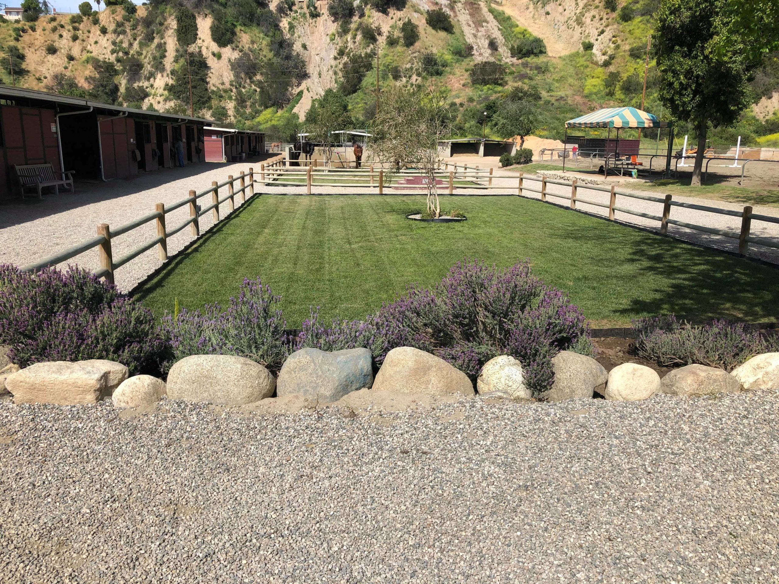 San Pascual Stables photo 2