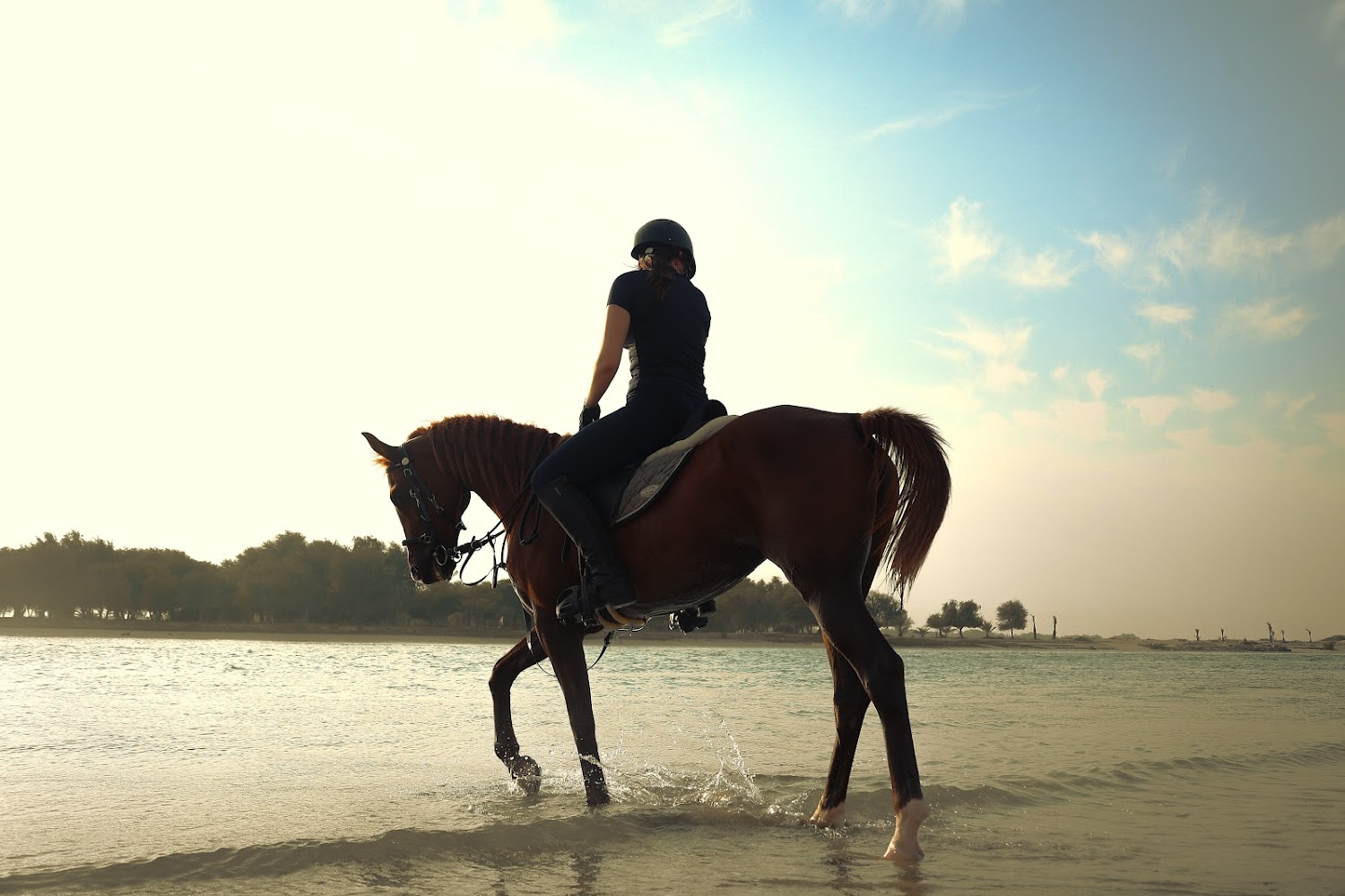 Sanam Stable photo 2