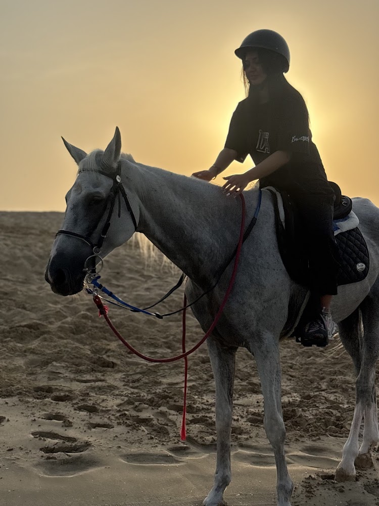 Sanam Stable photo 5