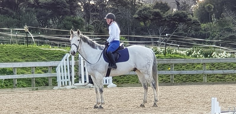Sandstone Equestrian Centre photo 3