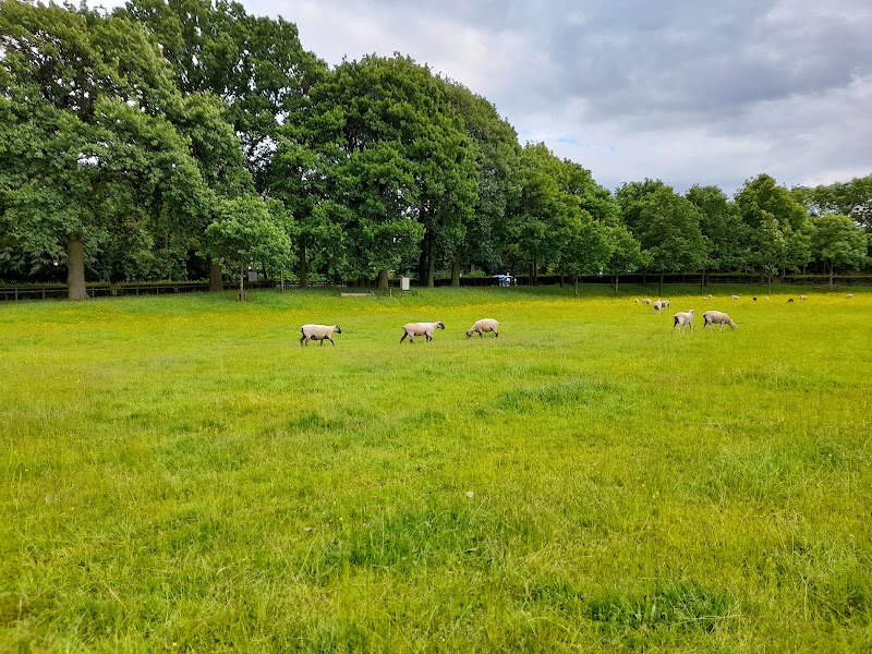 Sandwell park photo 2