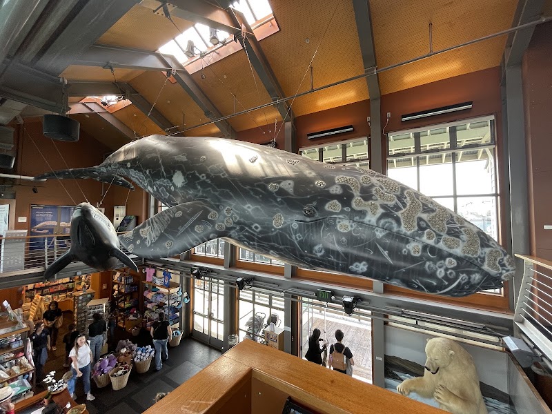 Santa Barbara Museum of Natural History Sea Center photo 2