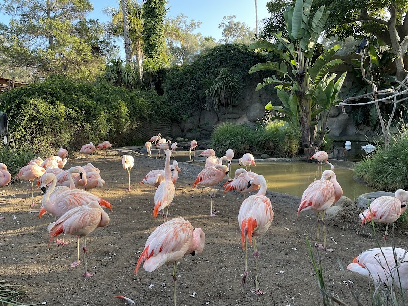 Santa Barbara Zoo