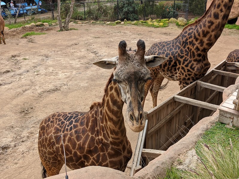 Santa Barbara Zoo photo 2