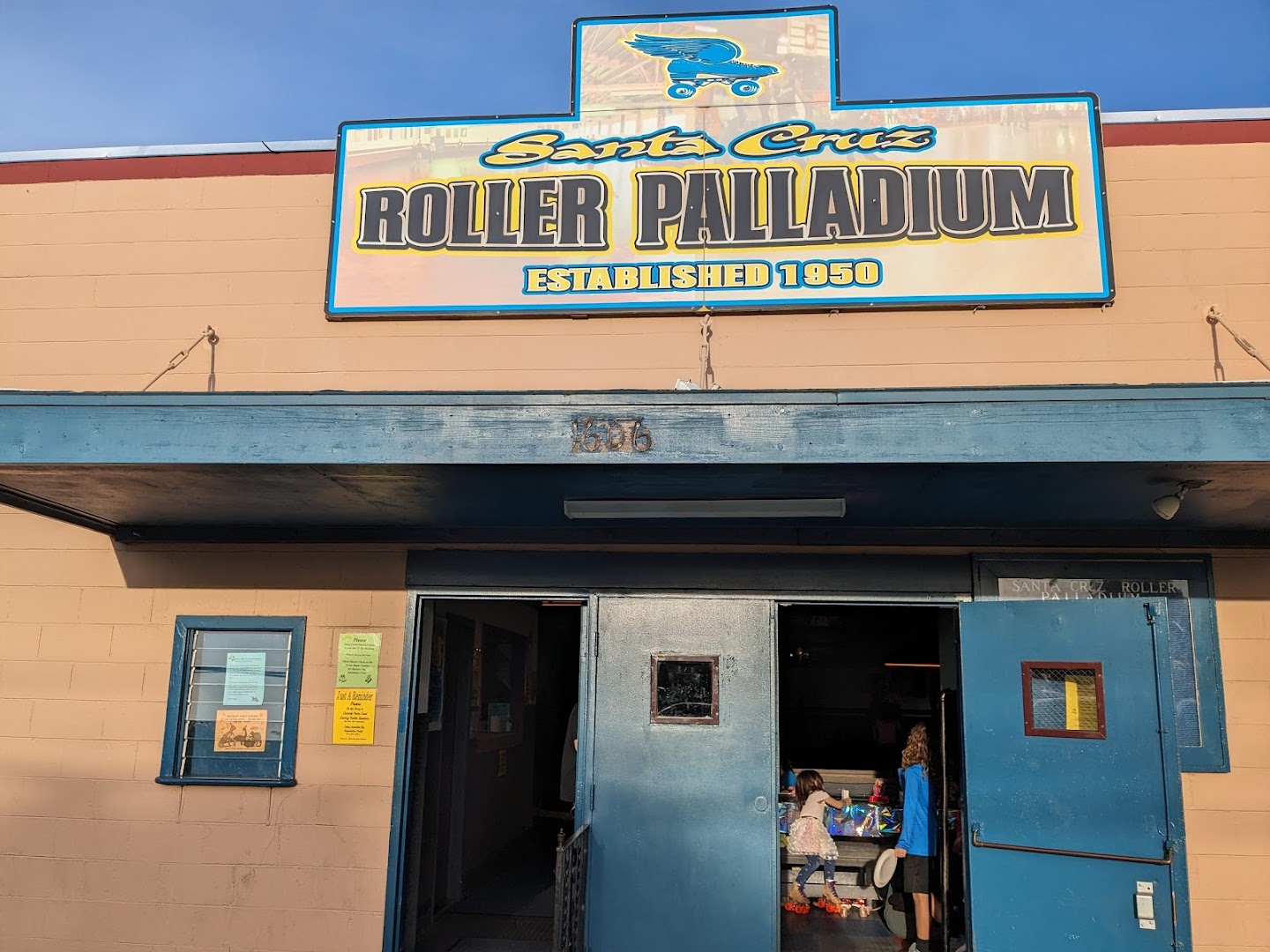 Santa Cruz Roller Palladium photo 2