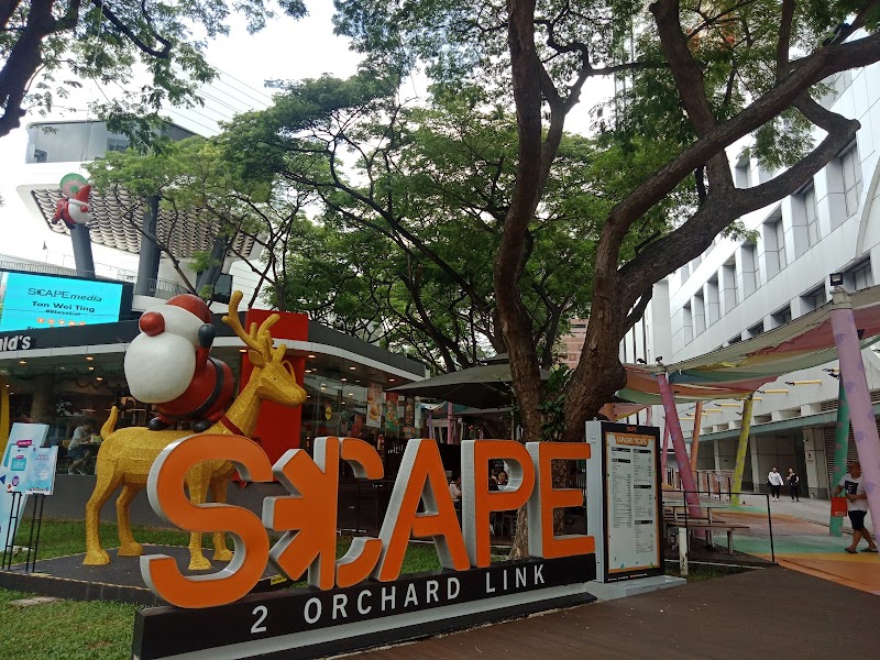*SCAPE photo 2