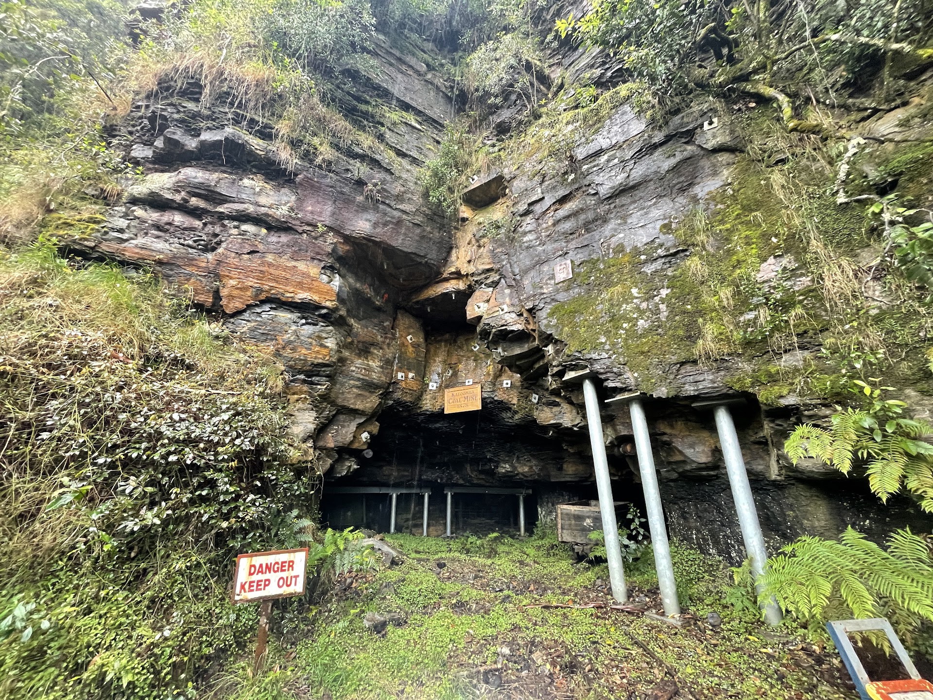 Scenic World photo 2