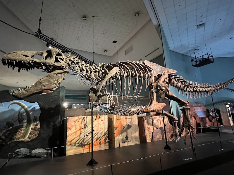 Science Centre Singapore photo 3