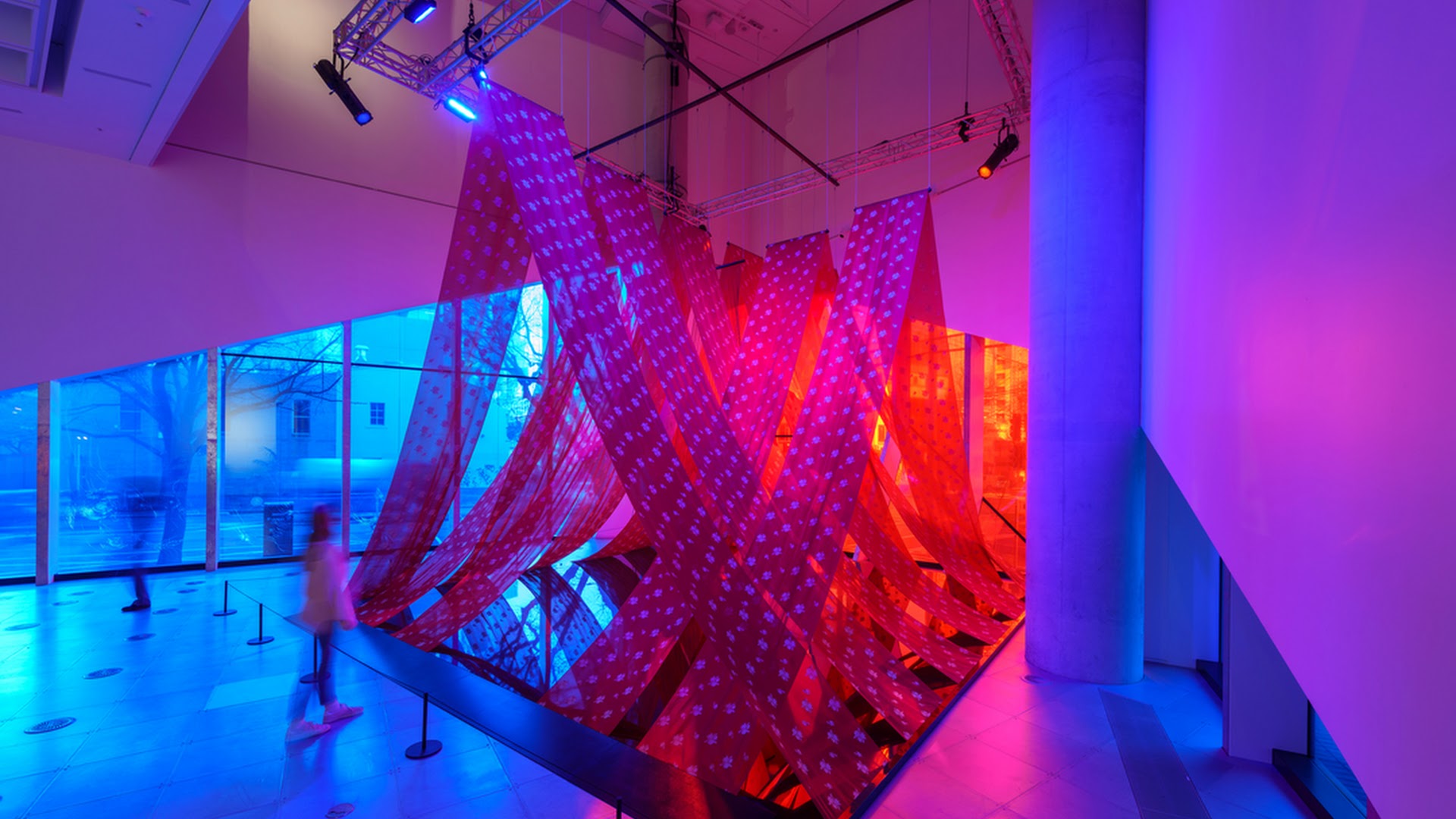 Science Gallery Melbourne photo 3