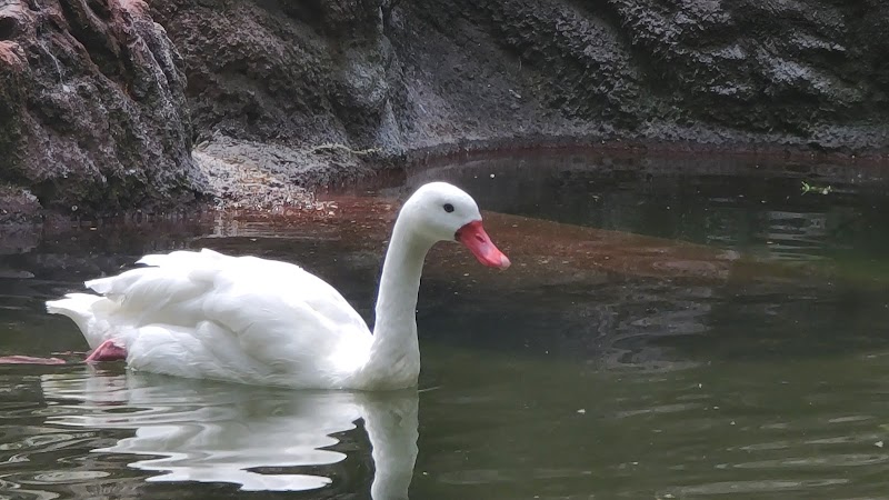Sea Bird Aviary