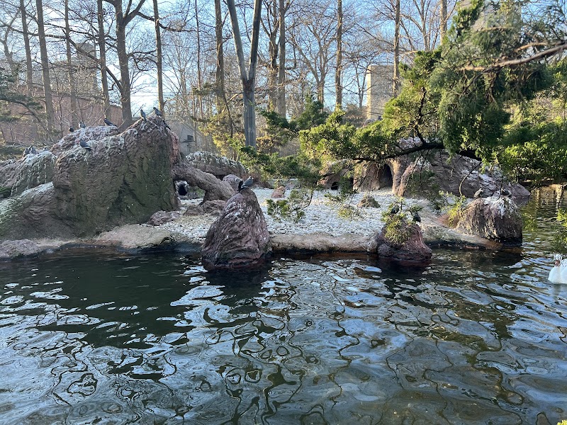 Sea Bird Aviary photo 2