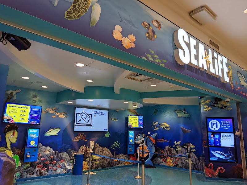 SEA LIFE at Mall of America photo 2