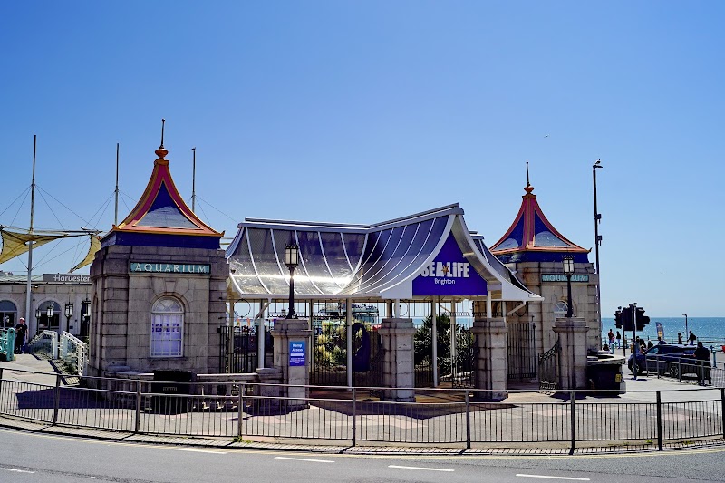 SEA LIFE Brighton photo 3