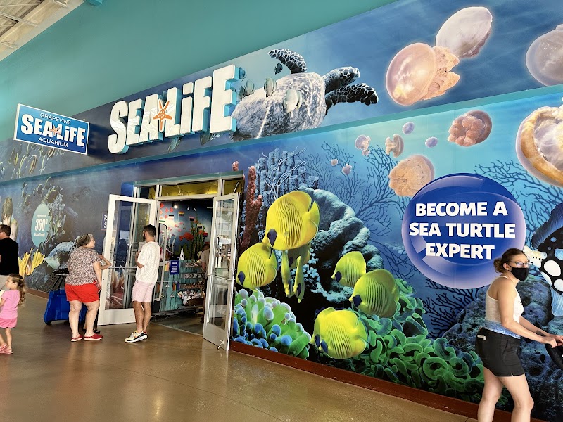 SEA LIFE Grapevine Aquarium photo 2